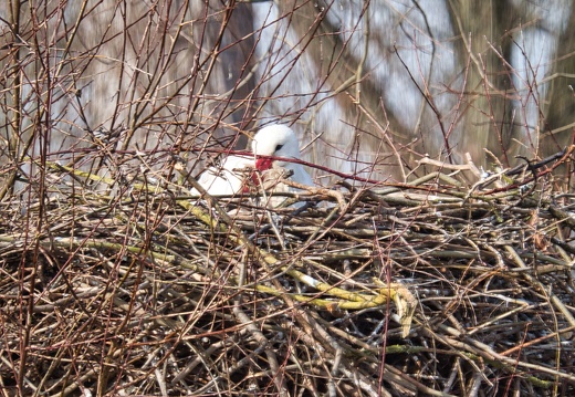 20220301193343-614b6923