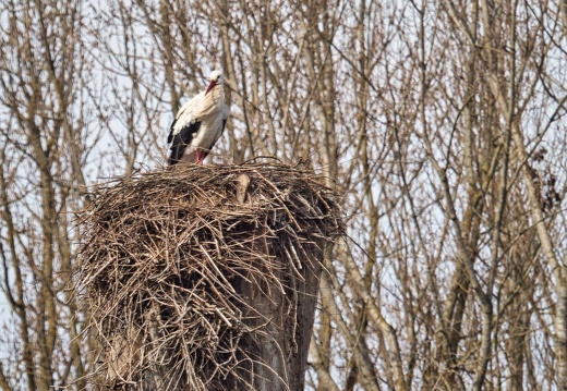 20220301193344-8ceec0bc