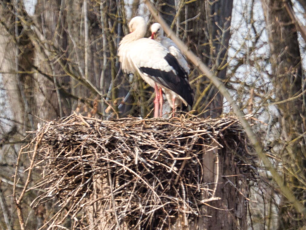 20220301193344-fb22a755