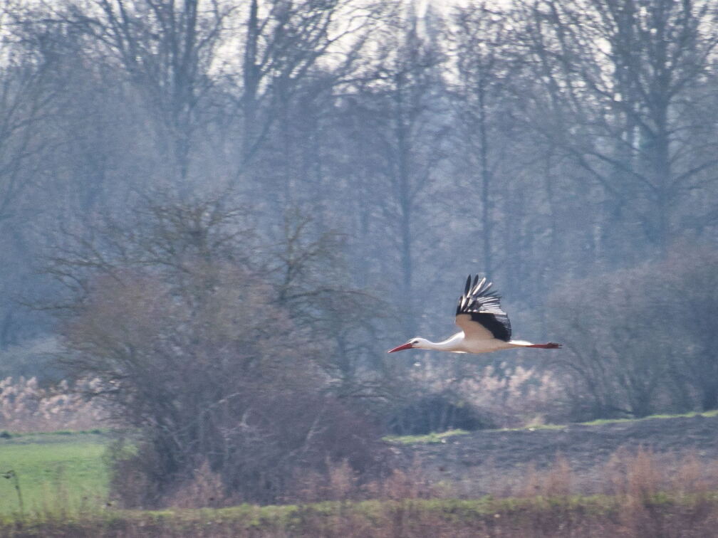 20220301193345-b18b0810