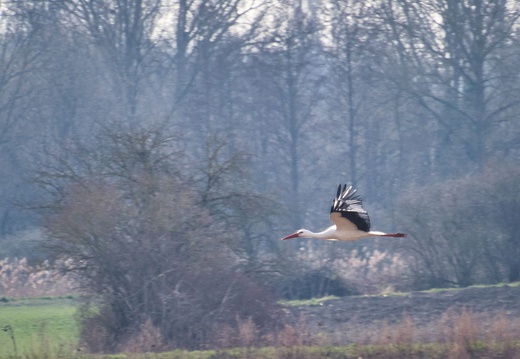 20220301193345-b18b0810