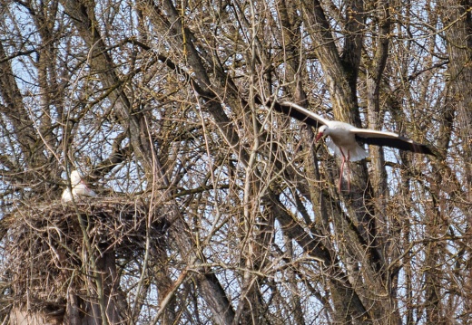 20220301193346-68655b42