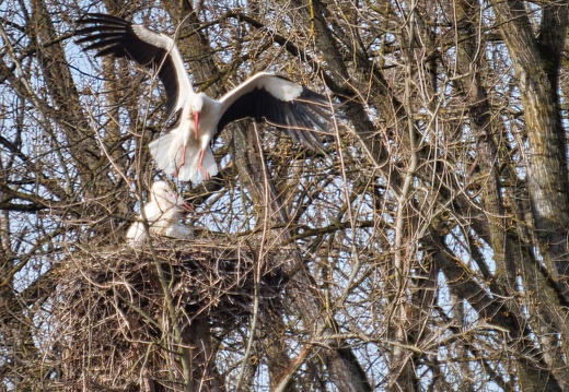 20220301193347-768341c8