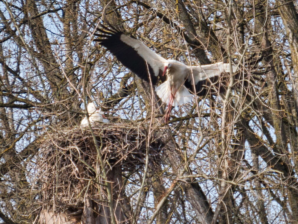 20220301193347-dc394852