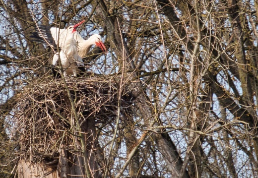 20220301193348-7b6eb122