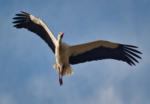 20220301193351-e06e10c7