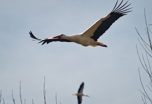 20220301193351-e0b90b75