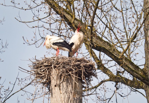 20220301193352-2e560552