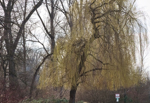 20220301193355-8c10ef34