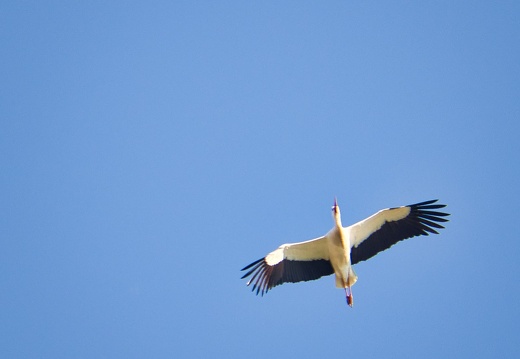 20220301193359-67bdc6d0