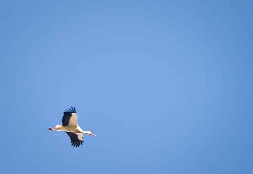 20220301193359-8e9daa41