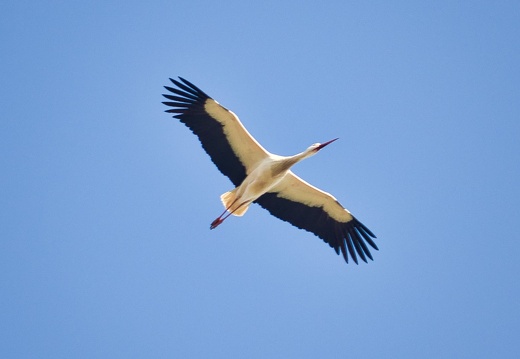 20220301193400-32baf264