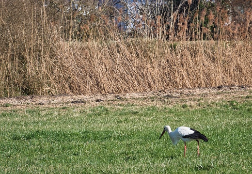 20220301193400-857d82be