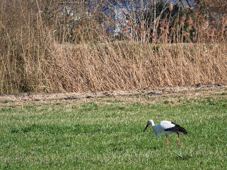 20220301193400-857d82be