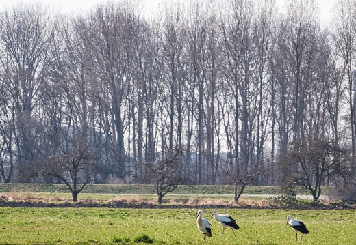 20220301193401-3b7442a6