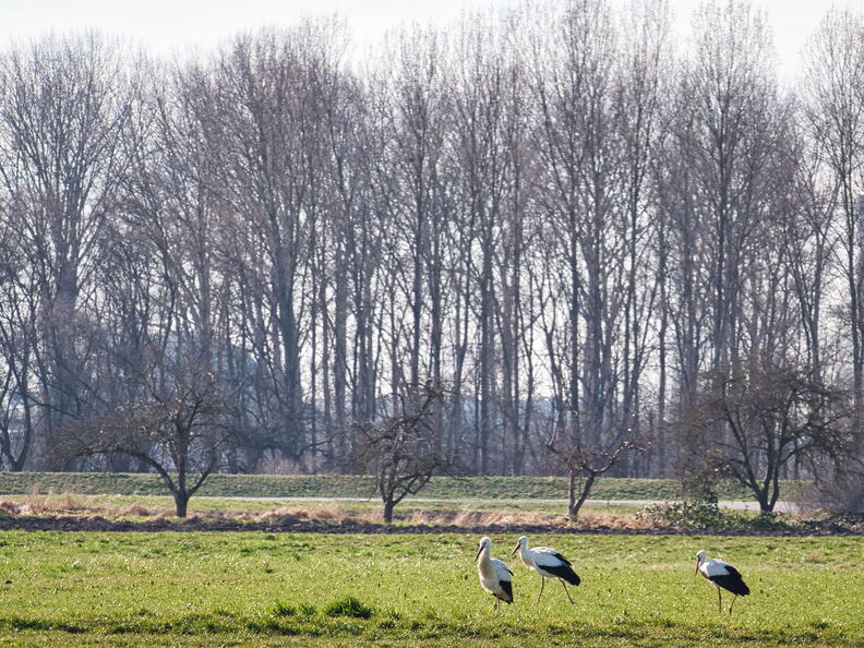 20220301193401-3b7442a6