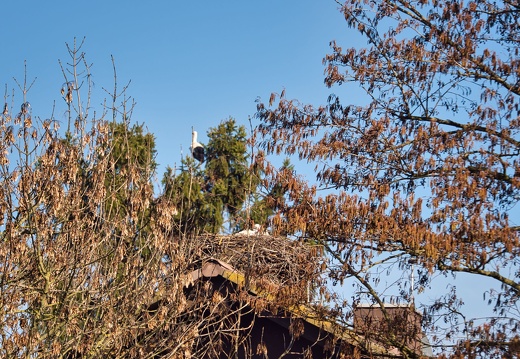 20220301193402-30d2ce8b