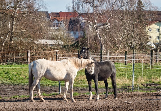 20220301193402-61ca5f77