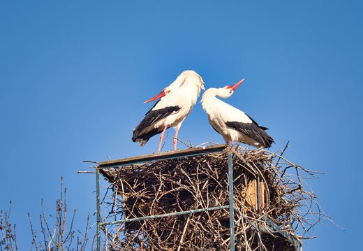 20220301193403-640f0d90