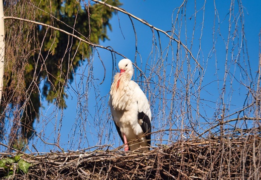 20220301193403-baf859ec