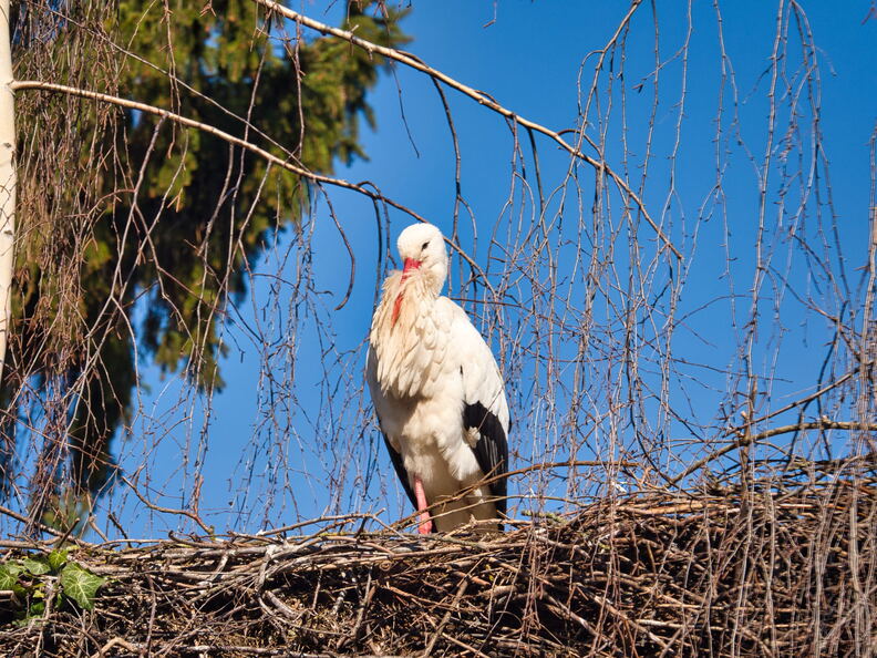 20220301193403-baf859ec