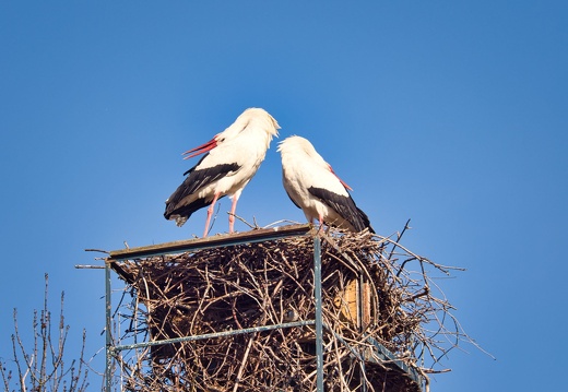 20220301193404-0165b086