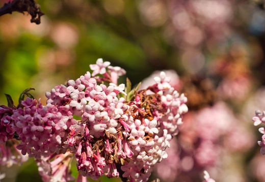 20220301193405-70ae5ee1