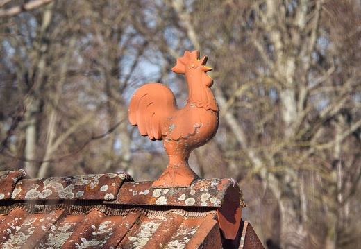 20220301193406-e0f491a5