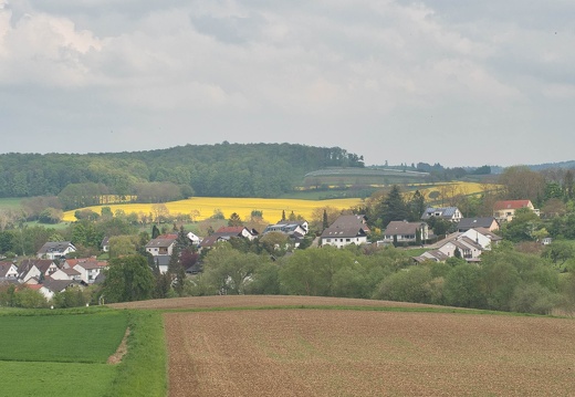 P5010123