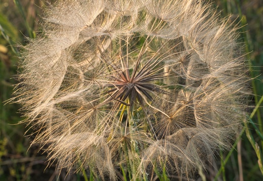 P6150194