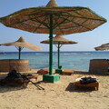 IMG-20231114-WA0002