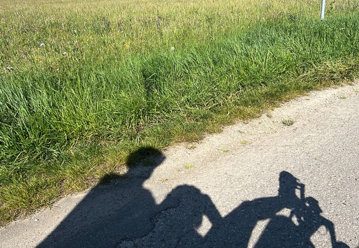 0B41D703-B06D-422A-86FE-1B0E6C9F8F4D