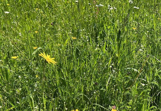 0F0A6F5A-54F3-4008-BBCB-6037F6DAEDA7