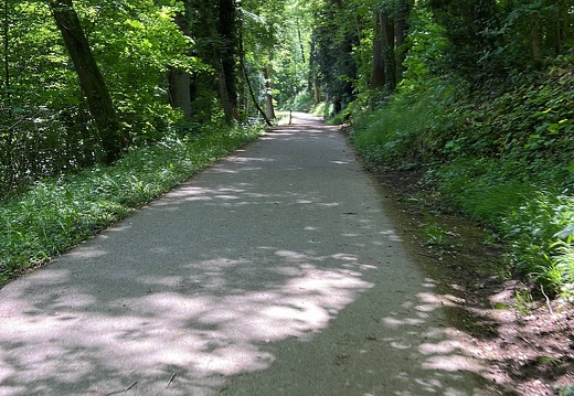 15D48C94-8179-45E9-A7E0-C3A63FF8E657