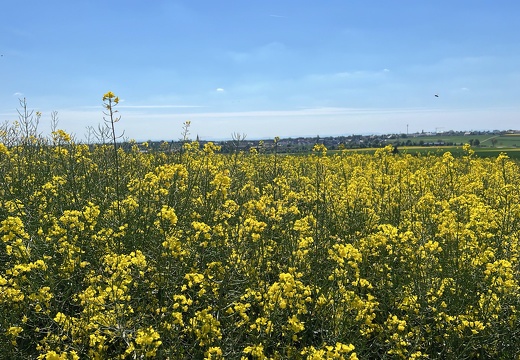 1CAAAA60-3AB9-45CA-82D0-C1F7EA689C18