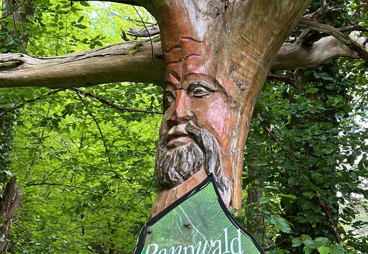 4BAB2AE8-04A9-477E-8C6C-2F487BA3B8D4