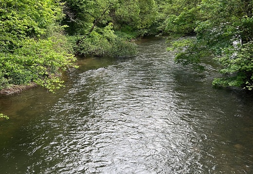 73C20703-C886-45DC-8365-83F3FAB7CC24