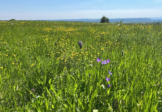 898C5A26-1EDA-4165-A380-BB4056F5B4B4