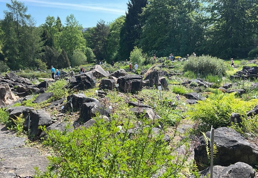 97632C35-0A12-4A07-B69E-E7F48CF4029F