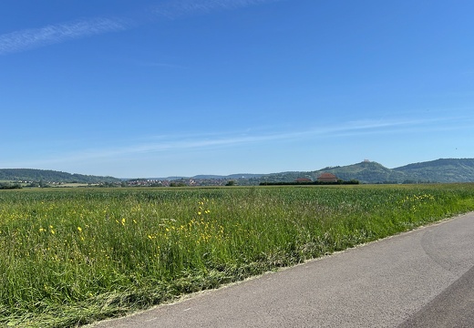 9A13E2D8-4739-4AE3-A26F-A49671A39A45