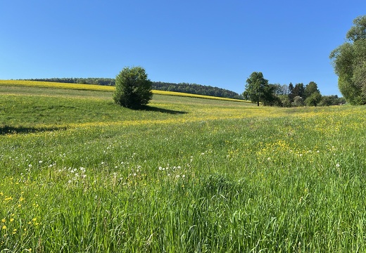 9A766707-3DC2-446C-8BC7-BC5869C0989D