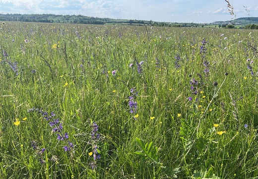 AAE7B41B-BFB7-43DF-8293-5504160B1EDF