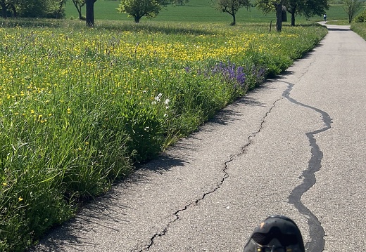 B141D151-5083-45C2-ABCA-DCFF672D497F