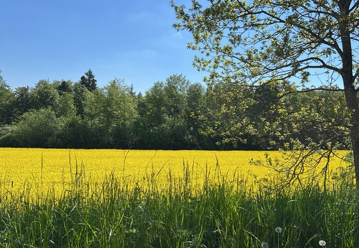 B4D814F8-5178-48C0-A106-CC415ABB15AE