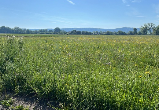 CE4108E9-4072-445B-82E9-1B777DCDC160