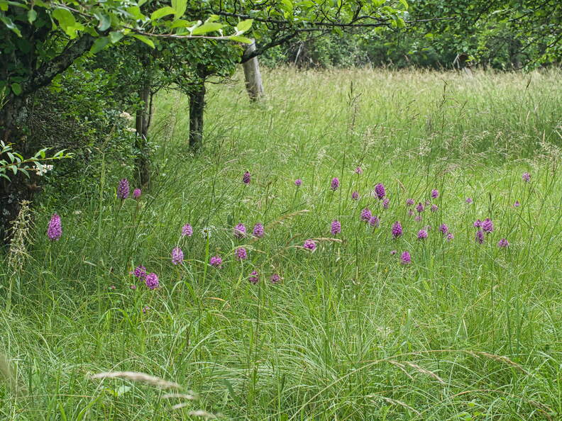 P6035057