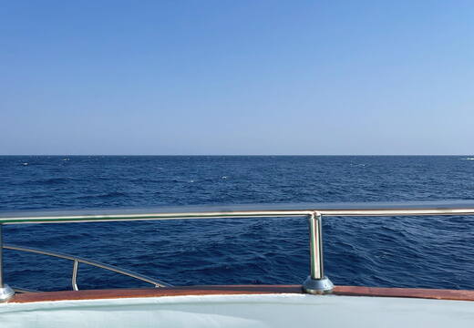 1C876EE1-3B18-411E-B709-0CE42F126753