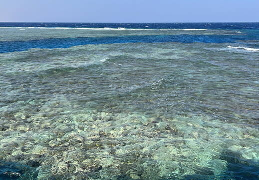 6AB06B8C-3D4C-4617-8B40-8B1DE76A476D