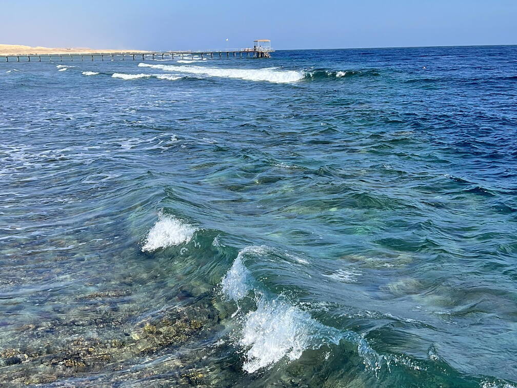 D4D285E5-1209-4A56-8D9B-D84430DC0346