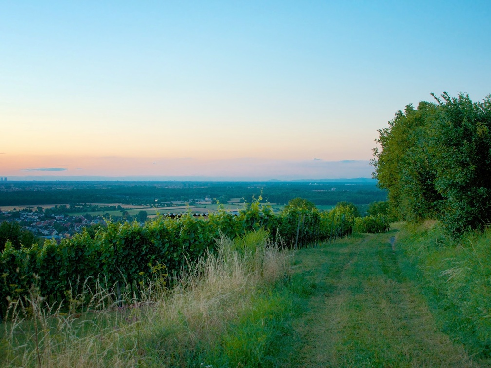 DSC-2694-Arbeitskopie-3